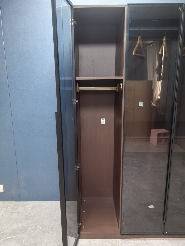 深啡色實木夾板衣櫃內部一格，金色掛衫桿橫喺中間，上方連住一塊隔板，深身設計，黑框玻璃門打開狀態，擺放喺淺藍色房間內。
